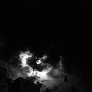 美女免费㊙️免费看网站
